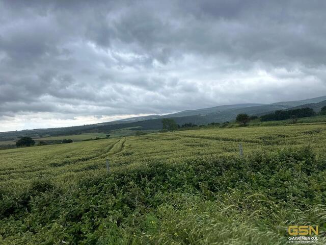 38-GSN GAYRİMENKUL'DEN AVRUPA STANDARTLARINDA RUHSATLI BESİÇİFTLİĞİ